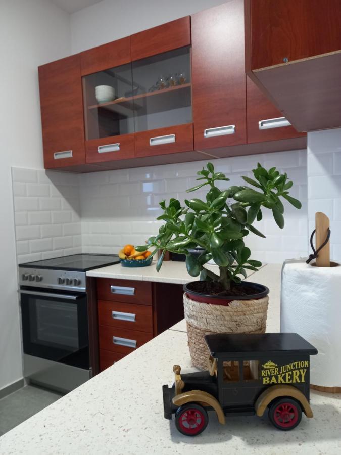 Apartament Avenija Oaza Nowy Sad Zewnętrze zdjęcie