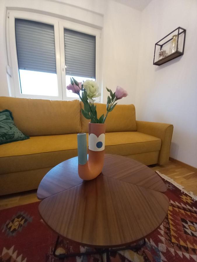 Apartament Avenija Oaza Nowy Sad Zewnętrze zdjęcie
