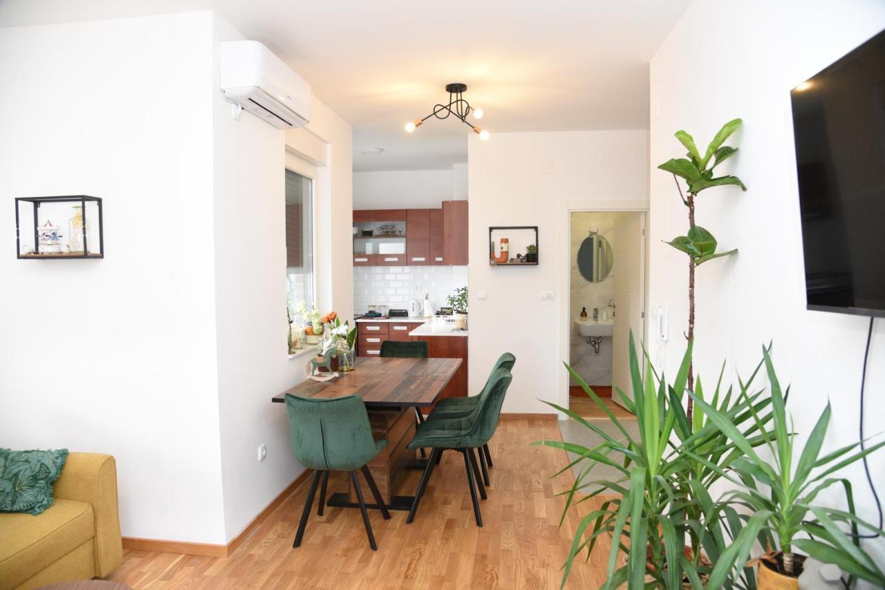Apartament Avenija Oaza Nowy Sad Zewnętrze zdjęcie