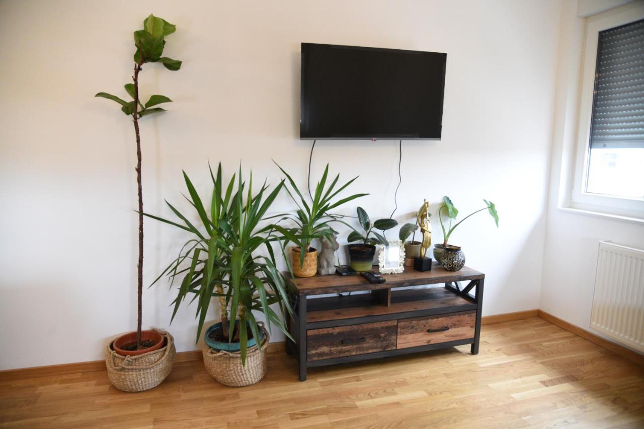 Apartament Avenija Oaza Nowy Sad Zewnętrze zdjęcie